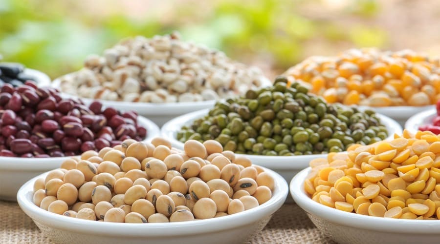 ملین خانگی چیست؟ خواص و فواید ملین و معرفی انواع ملین