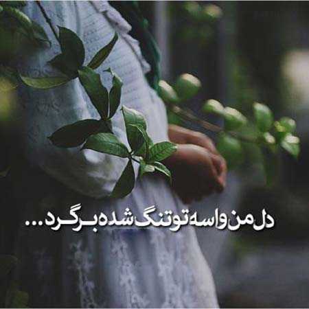 سایت عاشقانه با جملات ناب + بهترین متن عاشقانه برای عشقم و همسرم