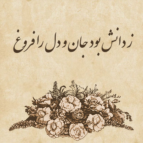 جملات در مورد علم + متن و سخن بزرگان در مورد کسب دانش