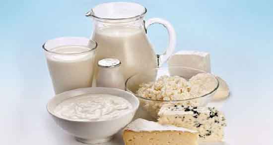 لبنیات برای صفراوی ها ؛ آیا خوردن لبنیات برای مزاج صفراوی ها مفید است؟