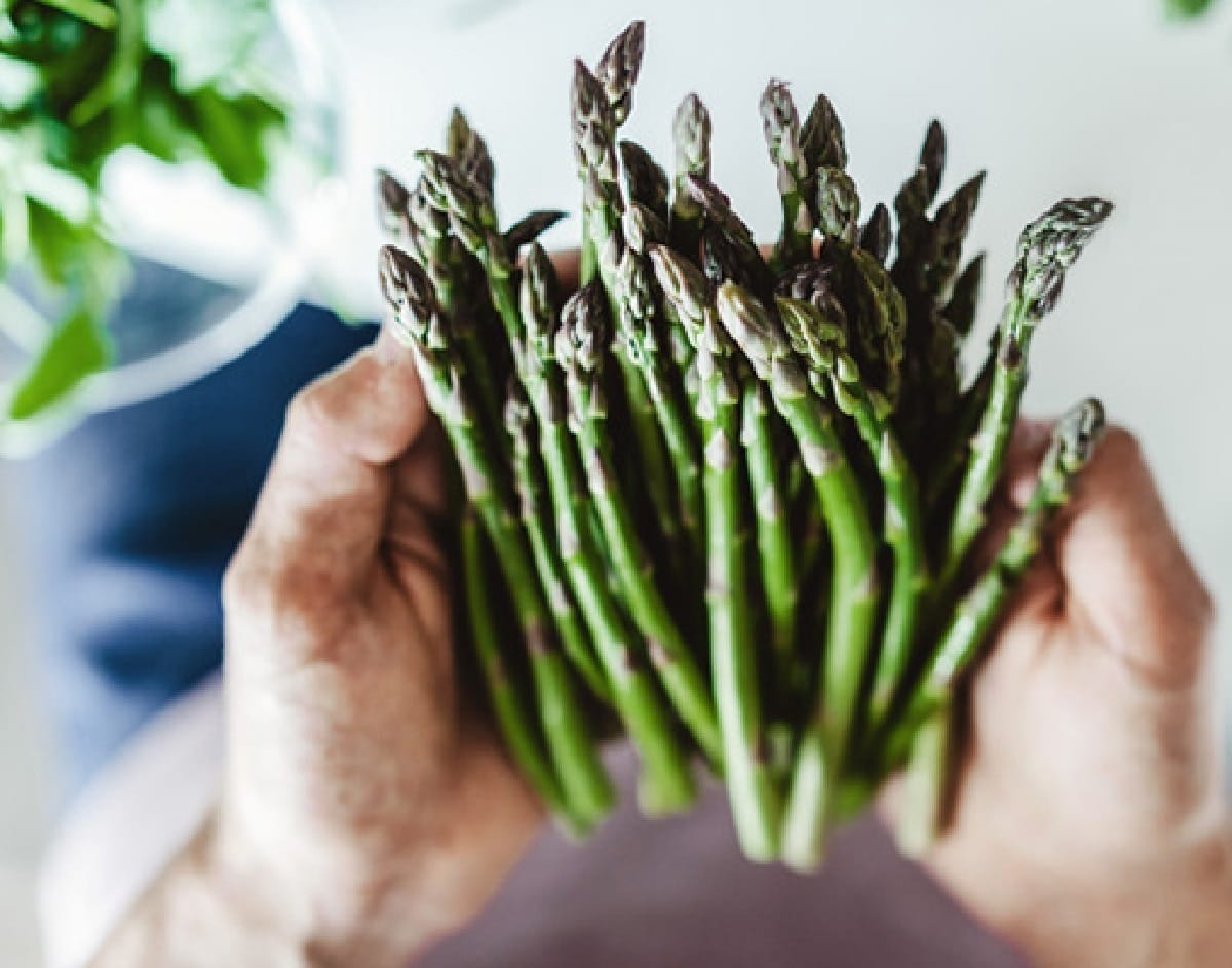 خواص مارچوبه؛ نحوه مصرف، مضرات آن، طبع و منع مصرف