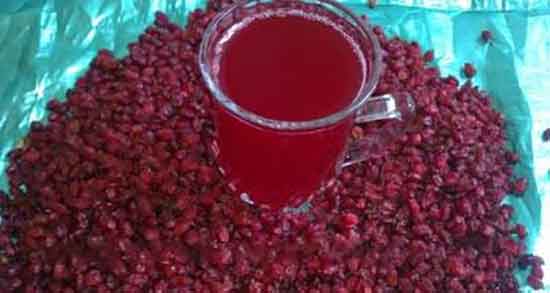 آب زرشک برای لاغری خوبه ؛ دمنوش اب زرشک برای لاغری و چربی سوزی