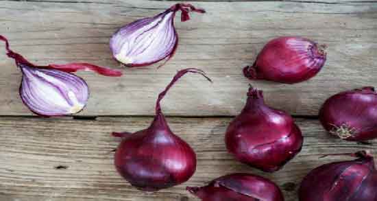 آب پیاز در بینی و درمان آبریزش بینی با استفاده از آب پیاز آب پیاز در بینی ؛ درمان آبریزش بینی با استفاده از آب پیاز