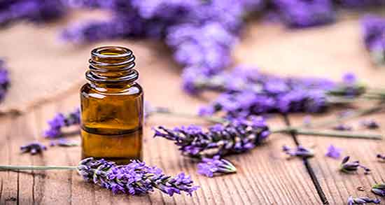 آیا روغن اسطوخودوس خوراکی است ؛ طریقه مصرف روغن اسطوخودوس