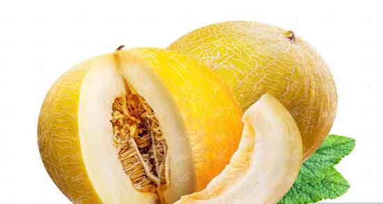 آیا ملون تراریخته است و ایا ملون زرد یک میوه تراریخته است یا نه آیا ملون تراریخته است ؛ ایا ملون زرد یک میوه تراریخته است یا نه