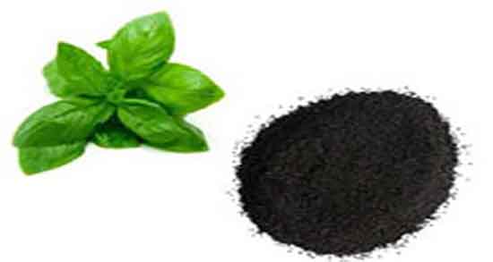 بارهنگ برای باز شدن قاعدگی و درمان باز شدن خون پریودی با بارهنگ بارهنگ برای باز شدن قاعدگی ؛ درمان باز شدن خون پریودی با بارهنگ