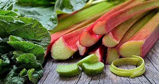 برگ ریواس خوردنی است ؛ ایا خوردن برگ ریواس برای بدن مضر است