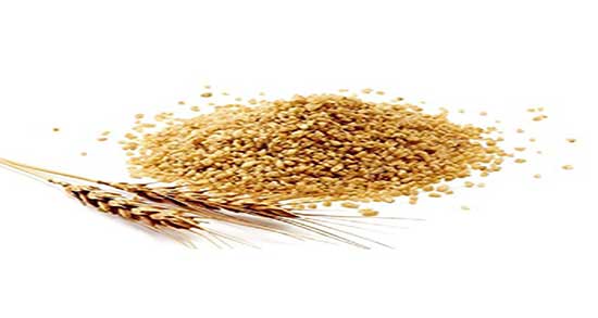 بلغور در بارداری ؛ خاصیت مصرف بلغور گندم برای جنین زنان باردار