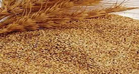 بلغور گندم و لاغری ؛ خاصیت بلغور گندم برای چربی سوزی شکم و پهلو