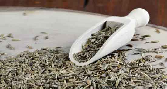 بهترین زمان مصرف عرق رازیانه برای لاغری ؛ چگونه با عرق رازیانه لاغر شویم؟