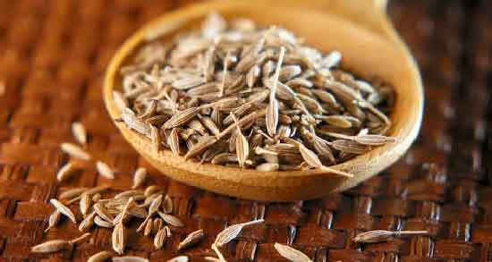بهترین زمان مصرف عرق رازیانه برای چاقی صورت ؛ نحوه صحیح مصرف عرق رازیانه