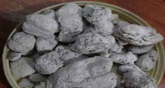 تباشیر برای کبوتر ؛ گیاه تباشیر بهترین ضد عفونی کننده گنجه کبوتران