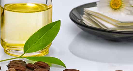 جوجوبا برای مو ؛ روش استفاده از روغن جوجوبا برای تقویت موی سر