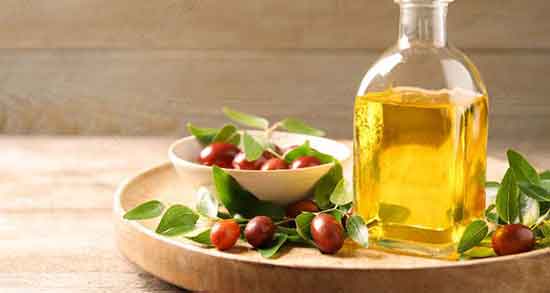 جوجوبا چیست ؛ گیاه جوجوبا چیست + طبیعت گیاه جوجوبا برای بدن