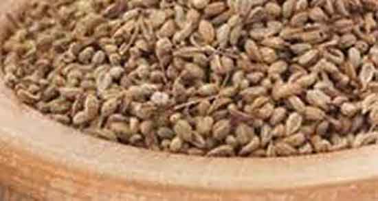 خاصیت جوهر زنیان ؛ فواید مصرف جوهر زنیان برای پوست صورت