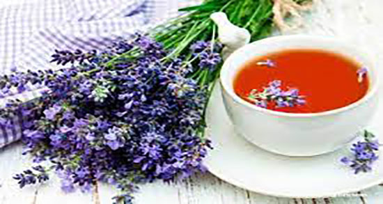 خاصیت دمنوش اسطوخودوس ؛ خواص دمنوش اسطوخودوس و گل گاوزبان