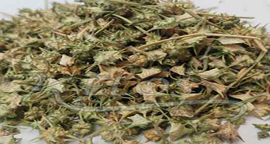 خاصیت دمنوش خارخاسک ؛ فواید مصرف دمنوش خارخاسک برای بدن