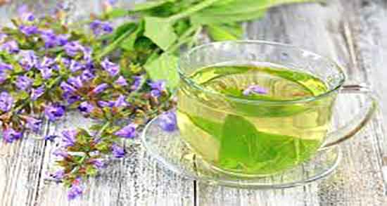 خاصیت دمنوش مریم گلی ؛ فواید مصرف دمنوش مریم گلی برای کودکان