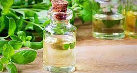 خاصیت روغن مرزنجوش ؛ خواص روغن مرزنجوش برای درمان سینوزیت