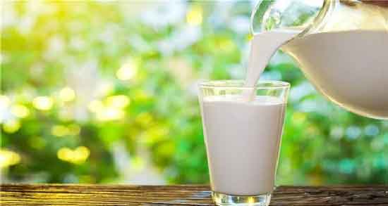 خاصیت شیر الاغ و همه چیز درباره خاصیت مصرف شیر الاغ خاصیت شیر الاغ ؛ همه چیز درباره خاصیت مصرف شیر الاغ