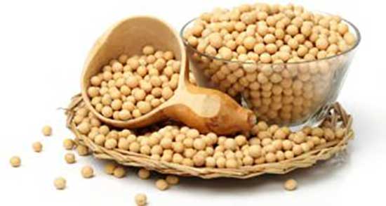 خاصیت شیر سویا ؛ خواص شیر سویا برای تقویت جنین زنان باردار