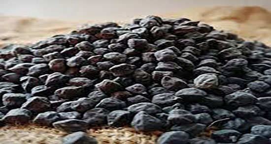 خاصیت نخود سیاه ؛ خواص مصرف نخود سیاه از نظر طب سنتی چیست