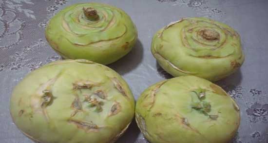 خاصیت کلم سنگ ؛ ایا خوردن کلم سنگ برای گرفتگی رگ های خونی مفیده