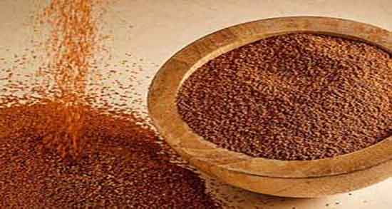 خاکشیر چاق کننده است؟؟ ؛ تاثیر خاکشیر برای بدن چاق کننده است یا نه