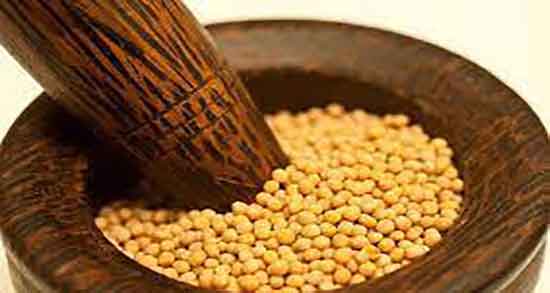 خردل برای بوی سیر و از بین بردن بوی سیر دهان فوری با مصرف خردل خردل برای بوی سیر ؛ از بین بردن بوی سیر دهان فوری با مصرف خردل