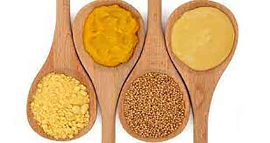 خردل و خواص آن و فواید خردل و مضرات آن برای زخم معده چیست خردل و خواص آن ؛ فواید خردل و مضرات آن برای زخم معده چیست