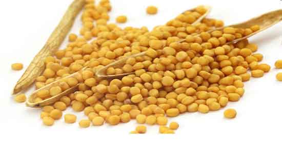 خردل و کبد و ایا مصرف خردل برای درمان کبد چرب مفید است خردل و کبد ؛ ایا مصرف خردل برای درمان کبد چرب مفید است