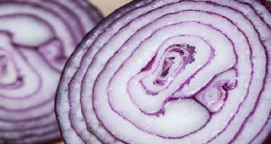 خواص آب پیاز پخته برای کیست تخمدان و تاثیر آب پیاز پخته برای از بین بردن کیست تخمدان خواص آب پیاز پخته برای کیست تخمدان ؛ تاثیر آب پیاز پخته برای از بین بردن کیست تخمدان