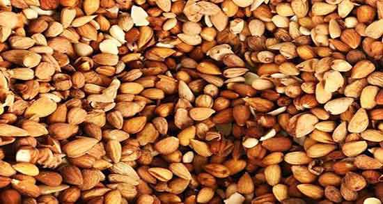 خواص الوک ؛ برای زن باردار و لاغری و الوک کوهی سرد است یا گرم