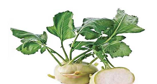 خواص برگ کلم سنگی ؛ فواید مصرف برگ کلم سنگی برای بدن انسان