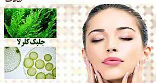 خواص جلبک کلرلا ولگاریس ؛ فواید جلبک کلرلا ولگاریس برای التهاب پوست