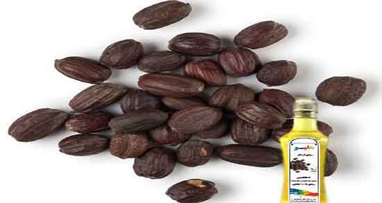خواص جوجوبا برای پوست ؛ فواید مصرف روغن جوجوبا برای ترک پوست