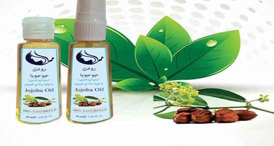 خواص جوجوبا در طب سنتی ؛ مصرف روغن جوجوبا از نظر طب سنتی