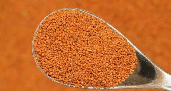 خواص خاکشیر برای باردار شدن ؛ تاثیر مصرف خاکشیر بر جنسیت جنین