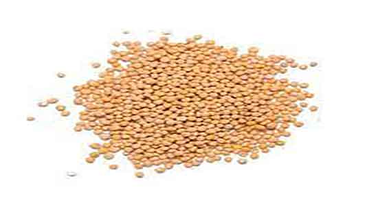 خواص خردل برای پوست صورت و مصرف ماسک خردل برای جوش صورت خواص خردل برای پوست صورت ؛ مصرف ماسک خردل برای جوش صورت