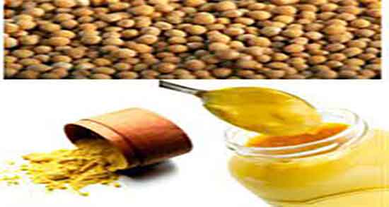 خواص خردل سبز ؛ ایا مصرف برگ سبز خردل برای درمان سرطان مفیده