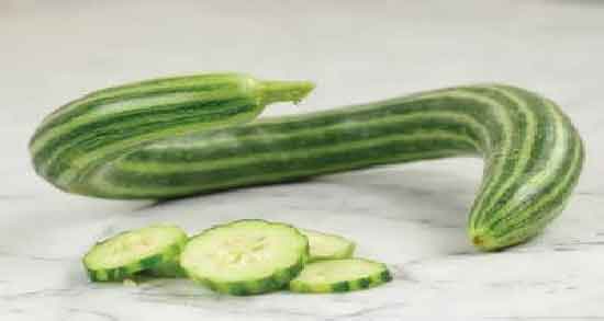 خواص خیار چنبر برای نوزاد و دادن خیار چنبر به نوزاد چه خاصیتی دارد؟ خواص خیار چنبر برای نوزاد ؛ دادن خیار چنبر به نوزاد چه خاصیتی دارد؟