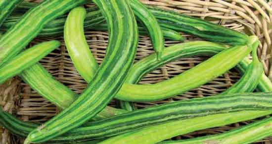 خواص خیار چنبر برای کبد و درمان بیماری های کبدی با مصرف خیار چنبر خواص خیار چنبر برای کبد ؛ درمان بیماری های کبدی با مصرف خیار چنبر