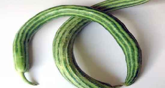 خواص خیار چنبر چیست و بررسی خواص دارویی و ارزش غذایی خیار چنبر خواص خیار چنبر چیست ؛ بررسی خواص دارویی و ارزش غذایی خیار چنبر