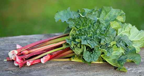 خواص درمانی برگ ریواس و ایا برگ ریواس برای درمان سنگ کلیه خوبه خواص درمانی برگ ریواس ؛ ایا برگ ریواس برای درمان سنگ کلیه خوبه