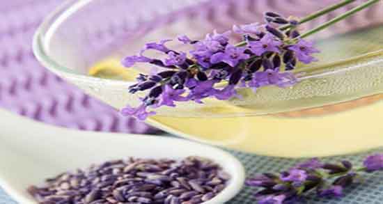 خواص درمانی دمنوش اسطوخودوس ؛ فواید اسطوخودوس و بادرنجبویه