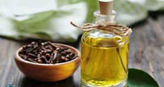 خواص درمانی روغن میخک ؛ فواید مصرف روغن میخک برای پا درد