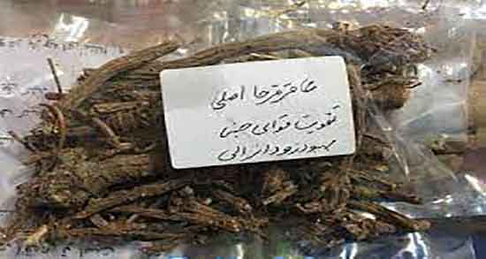 خواص درمانی عاقرقرحا ؛ ایا گیاه عاقرقرحا برای بدن خواص دارویی دارد