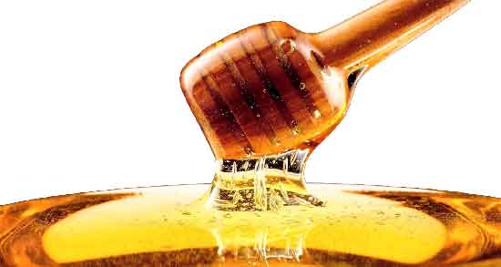 خواص درمانی عسل بهاره و بررسی فواید و خواص خوردن عسل بهاره خواص درمانی عسل بهاره ؛ بررسی فواید و خواص خوردن عسل بهاره