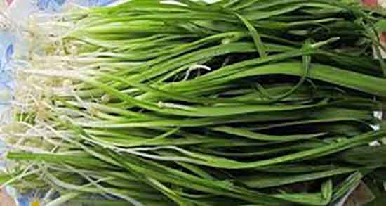خواص درمانی والک ؛ خواص درمانی والک کوهی برای زنان باردار