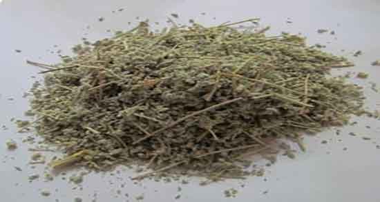 خواص درمانی کلپوره در طب سنتی ؛ فواید مصرف کلپوره برای زخم معده